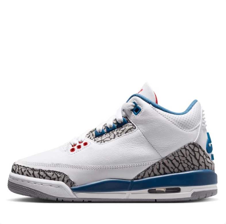 Air Jordan White & Blue Sneakers with Elephant-Print Details