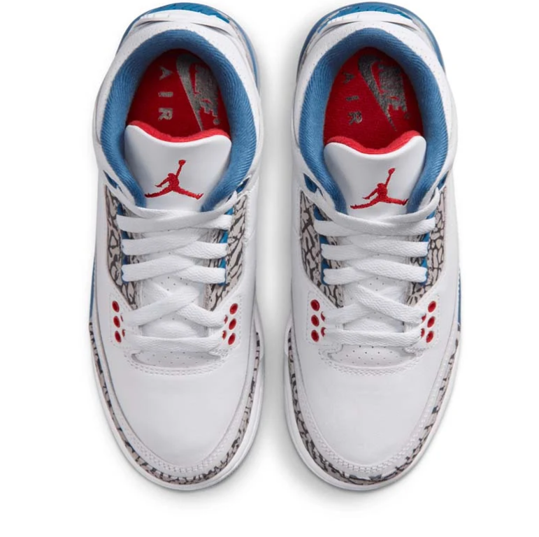 Air Jordan White & Blue Sneakers with Elephant-Print Details